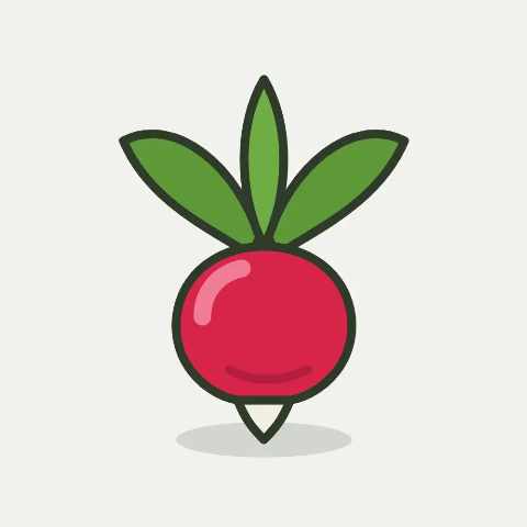 Illustratie van radijs