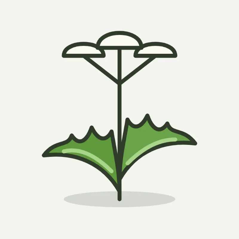 Illustratie van roomse kervel