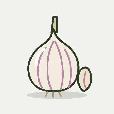 Illustratie van knoflook