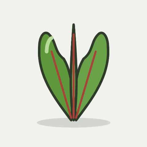 Illustratie van zuring
