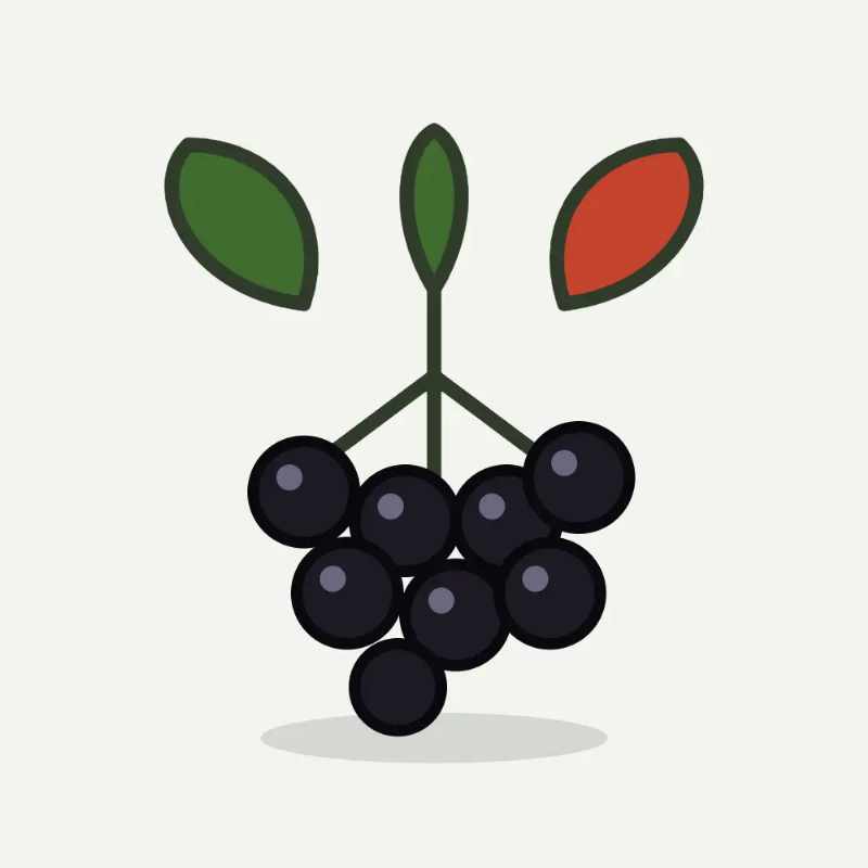Illustratie van appelbes