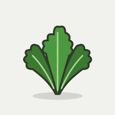 Illustratie van rucola