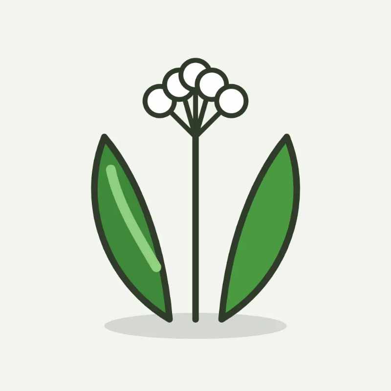 Illustratie van daslook