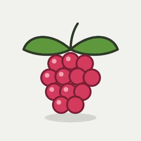 Illustratie van framboos