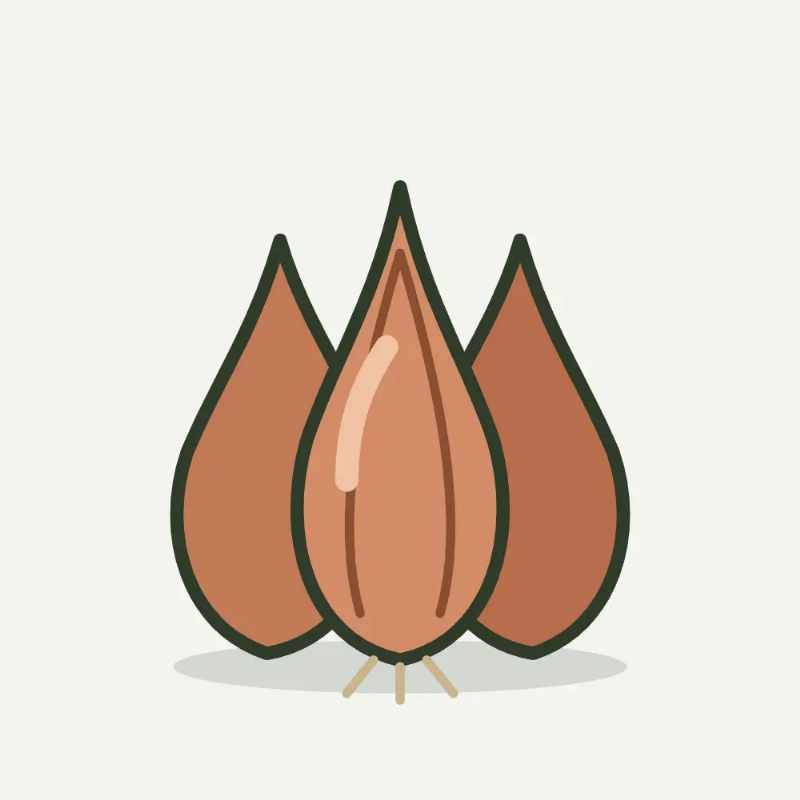 Illustratie van sjalot