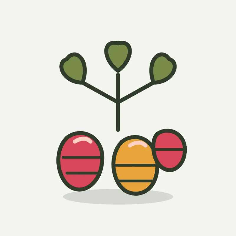 Illustratie van oca