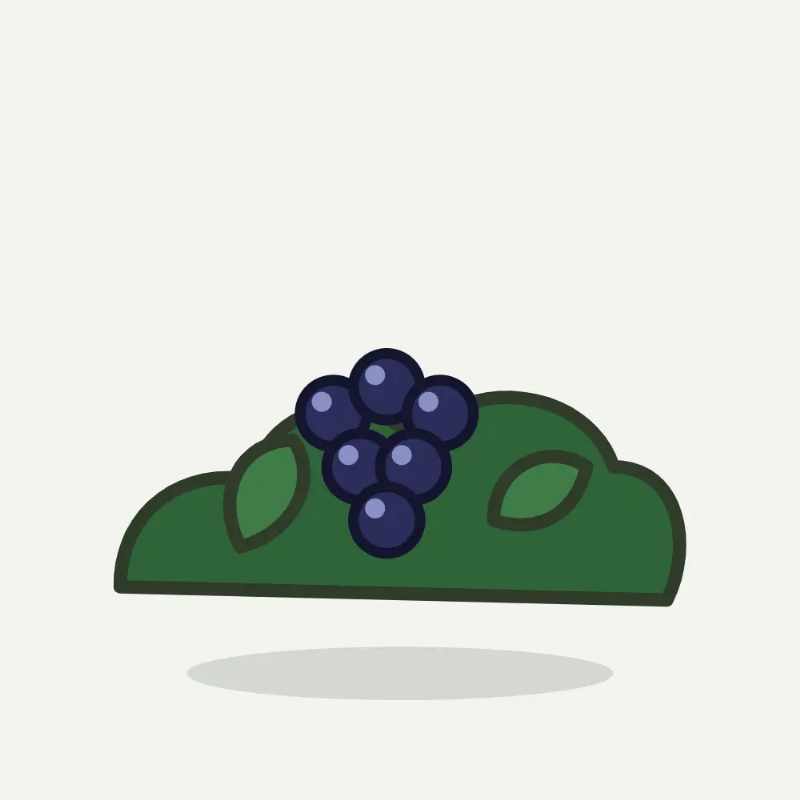 Illustratie van salal
