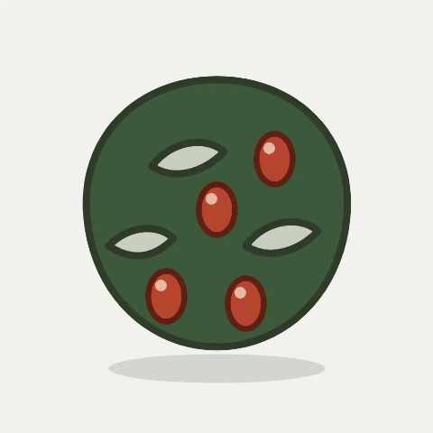 Illustratie van wintergroene olijfwilg