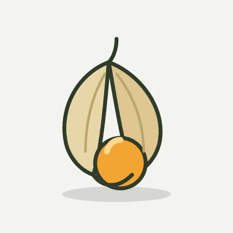 Illustratie van physalis