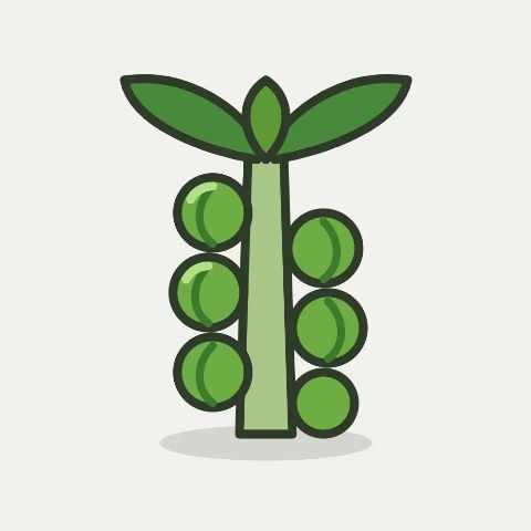 Illustratie van spruitkool