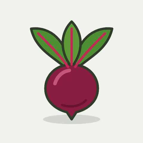 Illustratie van rode biet