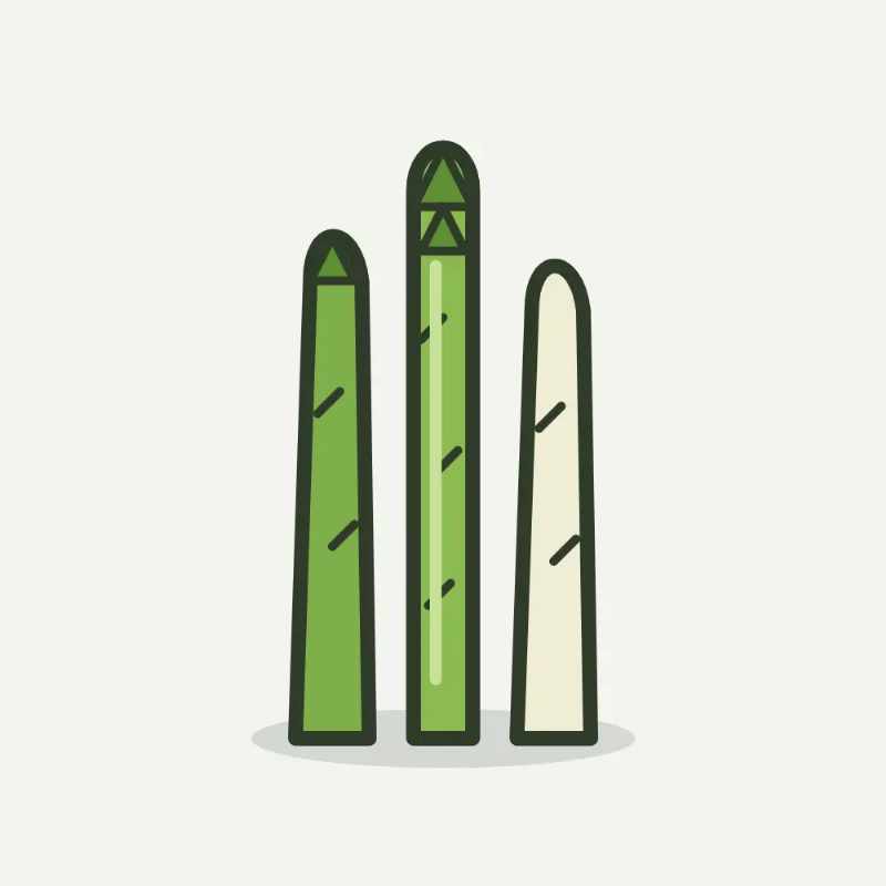 Illustratie van asperge